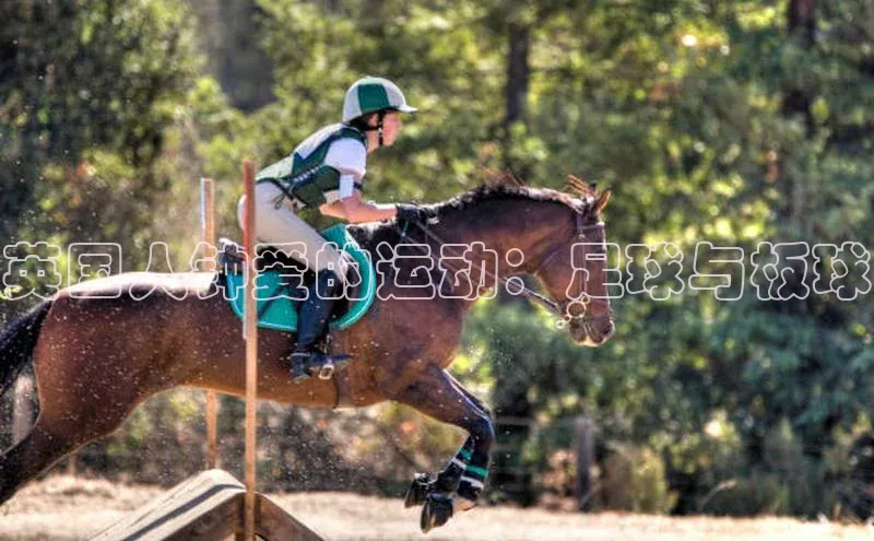 28圈.ccmpc颐驰 06英国人钟爱的运动：足球与板球