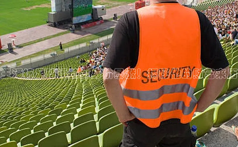 28圈电子游戏小度商城王泽栋足球运动员身价暴涨！揭秘他的财富来历