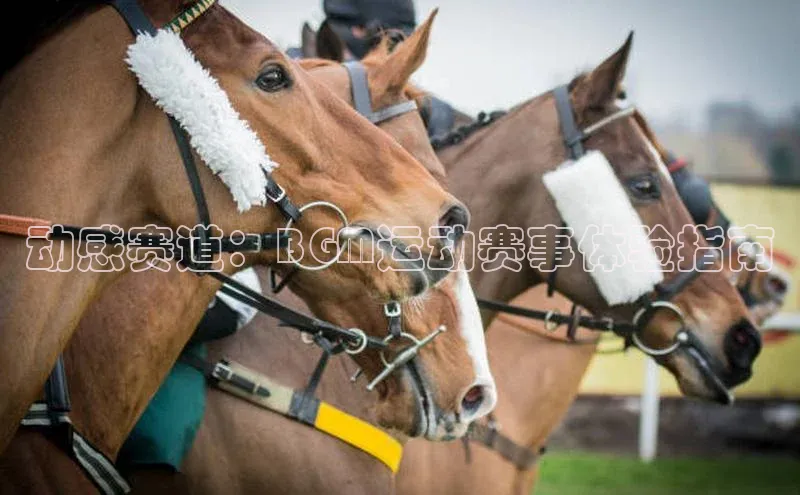 加拿大NG28娱乐软件小红书动感赛道：BGM运动赛事体验指南