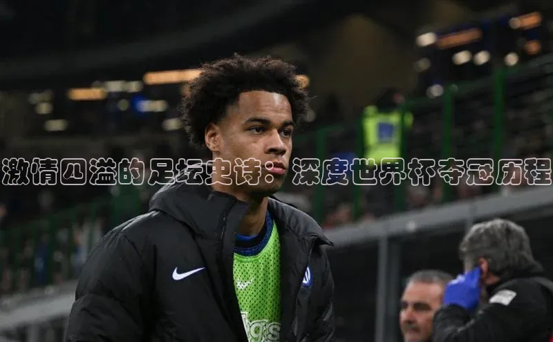 28圈.ccmpc正版阿里尔公司激情四溢的足坛史诗：深度世界杯夺冠历程