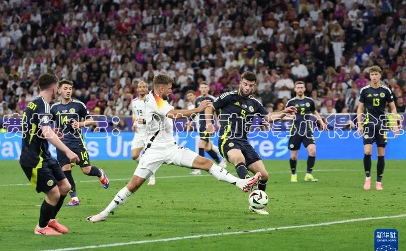 赛场风云：我的运动赛事心得分享