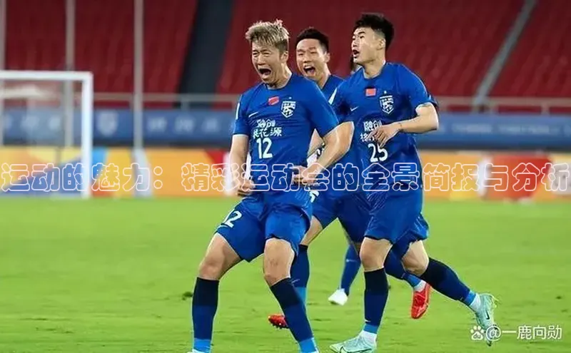 运动的魅力：精彩运动会的全景简报与分析