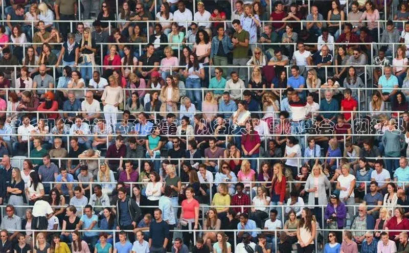 洛杉矶的热门运动赛事：从街头到国际盛会一网打尽