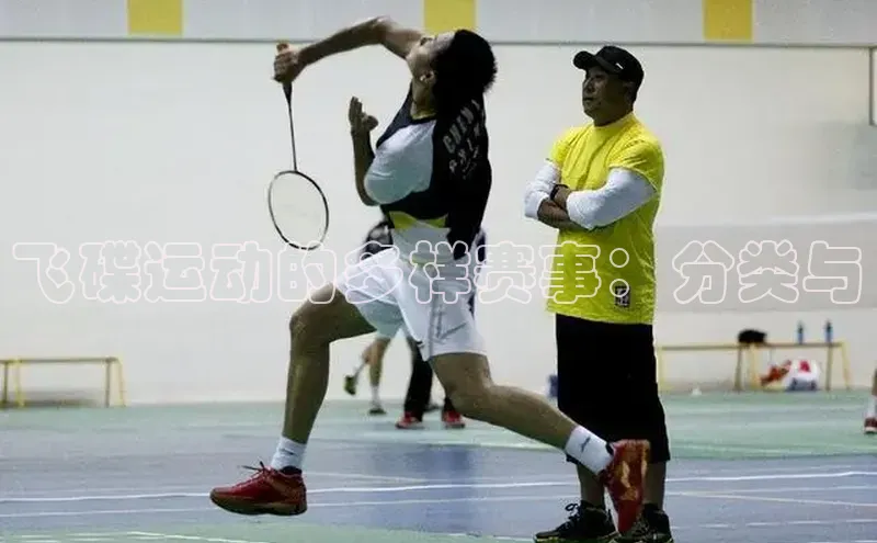 飞碟运动的多样赛事：分类与