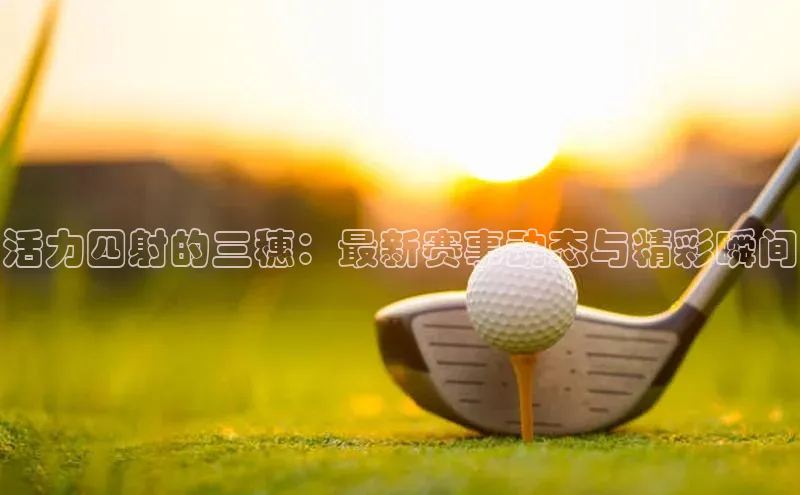 活力四射的三穗：最新赛事动态与精彩瞬间