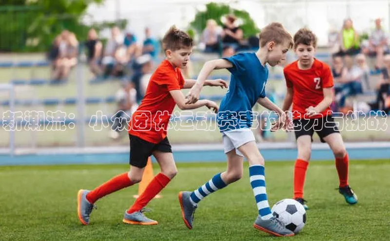 新潮流：小众团体运动赛事的魅力与挑战