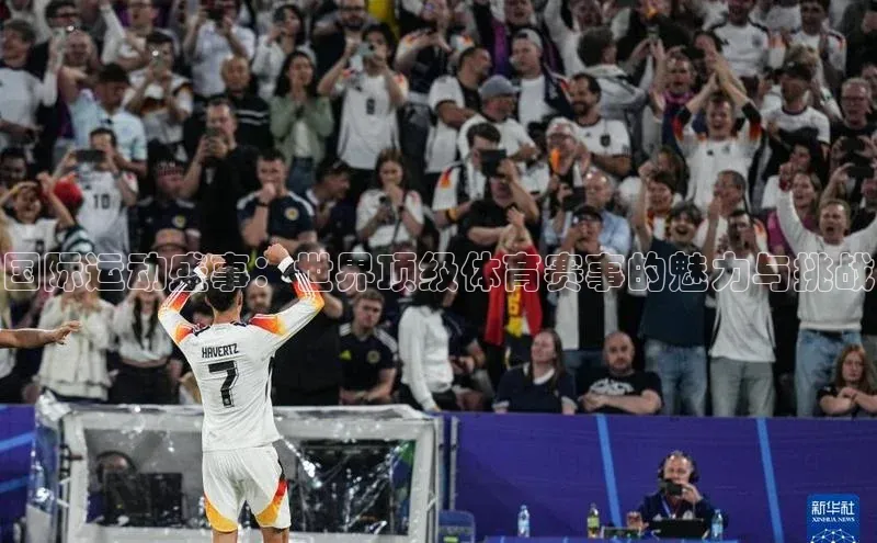 国际运动盛事：世界顶级体育赛事的魅力与挑战