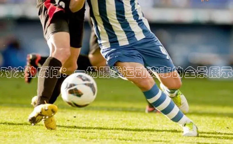 对决的瞬间：一场踢拳运动赛事的全景展示