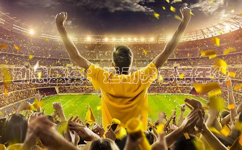 动感盛宴：运动赛事嘉年华