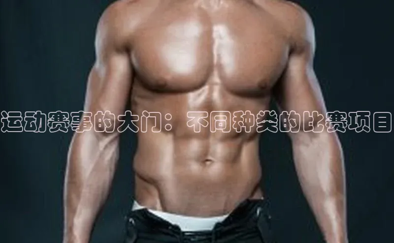 运动赛事的大门：不同种类的比赛项目