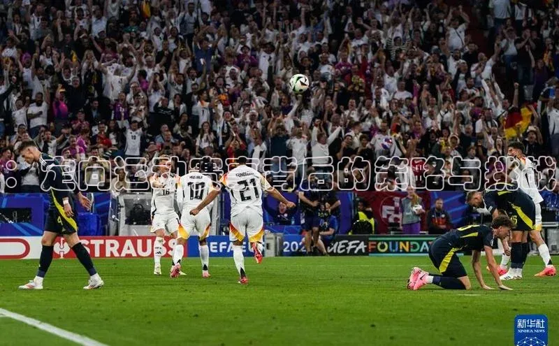 ：定向运动赛事背后的策略与挑战